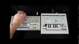 Roland tb303 vs x0xb0x Comparison [upl. by Niehaus936]