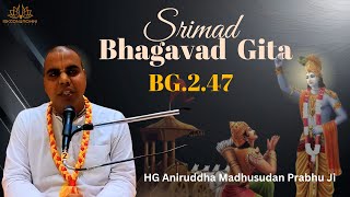 Bhagwat Gita Class by HG Aniruddha Madhusudan Prabhu Ji BG  247 iskconrohiniofficial [upl. by Annasus]