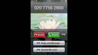 iOS 6 Default Ringtone [upl. by Nnylassej412]