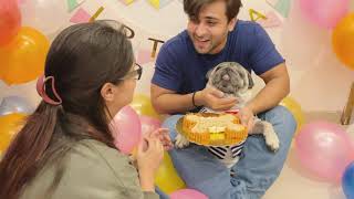 Cuddle Rejected My Cake 🙈😔  How cuddle spent his Day  Dipika Ki Duniya  Dipika Kakar Ibrahim [upl. by Anayet]