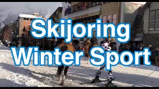 Skijoring in Banff Skijoring is a winter sport in which a person on skis is pulled by a horse [upl. by Samala]