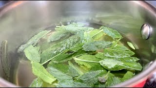 How To Make Refreshing Mint Tea From Fresh Mint Leaves [upl. by Anitrebla]