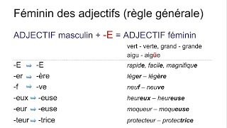 Les adjectifs – introduction  genre fémininmasculin – nombre plurielsingulier [upl. by Beebe]