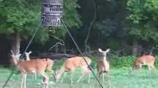 Deer Feeder Tips by Moultrie Feeders [upl. by Eicyak]