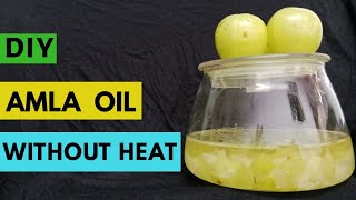 DIY fresh amla oil without heat  homemade amla hair oil in Hindi  amla oil for grey hair [upl. by Pillsbury]