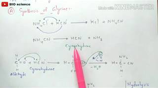 Strecker synthesis  Synthesis of Glycine Alanine valine and Leucine  Synthesis of aminoacids [upl. by Audy129]