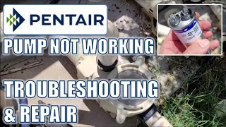 Pentair Pool Pump Troubleshooting Humming But Not WorkingPumping [upl. by Courtney]