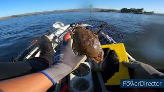 Dungeness Crab season opener at Bodega Bay [upl. by Salisbarry]