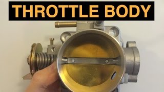 Throttle Body  Explained [upl. by Ellehcal611]