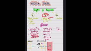 Vasopressin ReceptorsADH Receptorspart2 physiology shorts viralvideo medico neetpg fmge [upl. by Legim922]