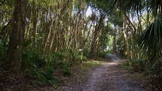 4K A Magical Walk  Colby Alderman Park  Spiritualism Cassadaga Florida [upl. by Suraved]