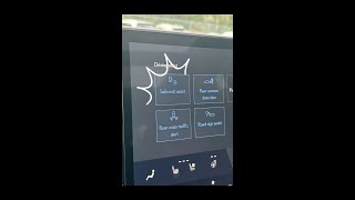 First Look Door Locks on the Lexus 2024 RX350 [upl. by Nylirem142]