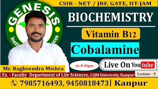 Vitamin B12  Cobalamine  Lecture5  New online quotBatchquot for CSIR NETJRF  IITJAM [upl. by Asquith]