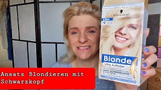 Ansatz selber Blondieren Schwarzkopf Blonde Ultra Aufheller aus der Drogerie [upl. by Ymij960]