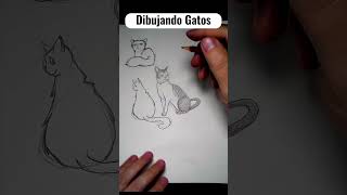 Cómo dibujar gatos michis aprenderadibujar [upl. by Fachanan850]