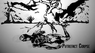 FOETICIDE  PUTREFACT CORPSE Version 2014 [upl. by Swaine]