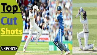 Top 10 Most Stylish Cut Shot In Cricket History Who Plays Best [upl. by Jacobina]