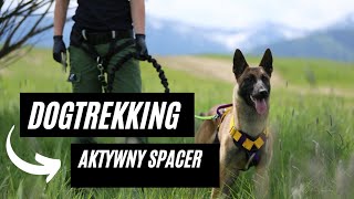 DOGTREKKING  SPACER Z PSEM PO NASZEMU [upl. by Drannek828]