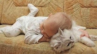 Adorable Cats and Babies Cuddling  Babies Love Cats Compilation [upl. by Fisk]