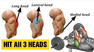 9 Best Triceps Workout for Every Head Hit all 3 heads  Fitkill [upl. by Schoenberg]