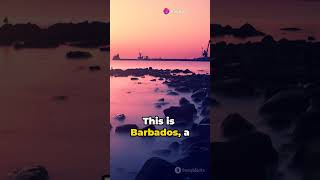 Barbados A Journey Through Time [upl. by Prady]