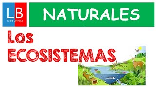 Los ECOSISTEMAS para niños ✔👩‍🏫 PRIMARIA [upl. by Hamlin]