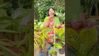 RRR Nursery Part12 comedy shorts richakka [upl. by Huberman883]