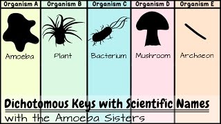 Dichotomous Keys Identification Achievement Unlocked [upl. by Yttak]