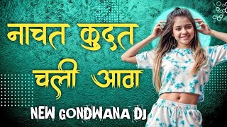 नाचत कूदत चली आवा  OLD GONDI REMIX SONG  NEW GONDWANA DJ MIX 2024 [upl. by Adriel]