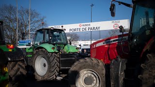 Colère des agriculteurs  intrusion à Rungis la colère des exploitants sinvite au sommet européen [upl. by Marala358]