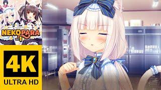 Episode 13  NEKOPARA Vol 1  Walkthrough No Commentary 4K [upl. by Bordiuk]