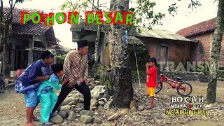 POHON BESAR  BOCAH NGAPAK YA NGABUBURIT 130519 [upl. by Akimal]