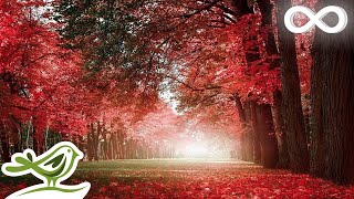 30 Minutes of Beautiful Romantic Music Guitar Music Violin Music Cello Music Piano Music ★74 [upl. by Ahsimrac]