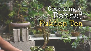 EP 9  Fukien Tea Bonsai  Carmona Retusa [upl. by Storm526]