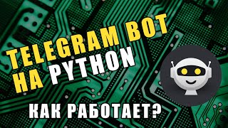 Telegram Bot на Python Как работает pyTelegramBotAPI Эхобот [upl. by Jessica147]