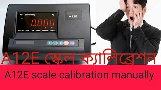 A12E scale calibration [upl. by Renick829]