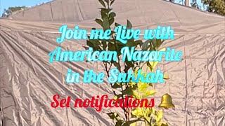 Join AmericanNazarite and I Live in the Sukkah chat [upl. by Aelber]