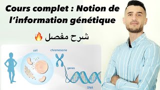 Cours complet  Notion de l’information génétique 🧬 شرح مفصل ومبسط [upl. by Heins535]