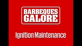 Barbeque Ignition Maintenance [upl. by Akinuahs]