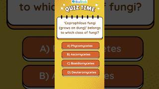 Kingdom Fungi  Biological Classification  Class11 Biology neet biologicalclassification quiz [upl. by Zoarah]