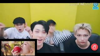 Twice  moreampmore Reaction by Stray kids bangchan lee know hyunjin Felix [upl. by Nomled]