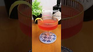 The Best Gin Campari Sour Recipe [upl. by Adiasteb]