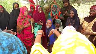 Somali wedding dance Ogaden buranbur [upl. by Nemracledairam]