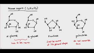 23 Introduction to carbohydrates amp monosaccharides Cambridge International AS amp A Level Biology [upl. by Daugherty]