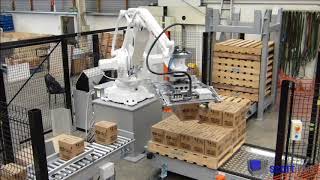 074 Robotic Case Palletiser with empty pallet amp layer sheet handling by wwwphsinnovatecom [upl. by Hollah]