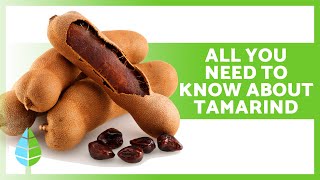 HEALTH BENEFITS OF TAMARIND 🥜✅ Medicinal Properties Usage Tips and Contraindications [upl. by Niriam]