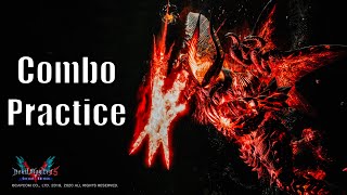 Devil May Cry 5  Combo Practice  11 [upl. by Flori]