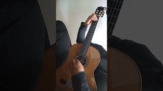 Perhaps Love Placido Domingo amp John Denver Intro Classical Guitar Cover [upl. by Arihday]