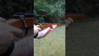 Bolt Action 22 Sears 2T Plinking Steel [upl. by Dolan138]