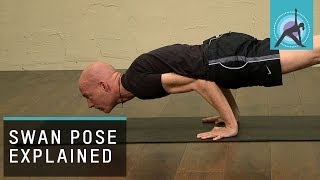 Swan Pose explained Yoga with Olav Aarts [upl. by Alyhc]